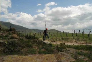 Colgando del puente